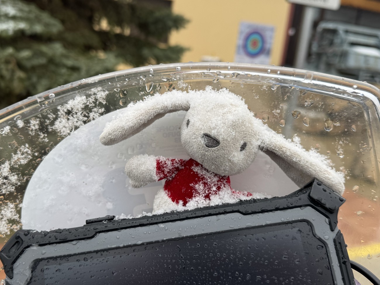 My soft toy rabbit, sat on the motorbike windscreen, with snow on his ears