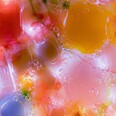 The background image from the Driesnote slides. Looks like a very colourful version of an X-ray photo